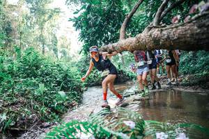 BIB: 
                            <button type="button" onclick="openModal(25458861)" class="btn btn-primary btn-sm float-right btn-popup" data-toggle="modal" data-target=".modal-high-quality">
                        <i class="fas fa-shopping-cart"></i> Add to Cart
                    </button>
                                            <button type="button" onclick="isThisMe(25458861, true)" class="btn btn-success btn-sm float-right btn-popup btn-isme hidden" data-toggle="tooltip" data-placement="bottom" title="นี่คือรูปของคุณใช่ไหม คลิกที่นี่เพื่อเอาเข้าอัลบั้ม">
                        <i class="fas fa-plus"></i> Add to album
                    </button>
                    <button type="button" onclick="isThisMe(25458861, false)" class="btn btn-warning btn-sm float-right btn-popup btn-isnotme hidden">
                        <i class="fas fa-ban"></i> Remove from album
                    </button>